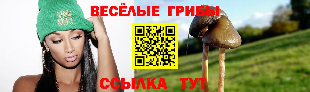 Псилоцибиновые грибы GOLDEN TEACHER  Вход с VPN  Крымск 